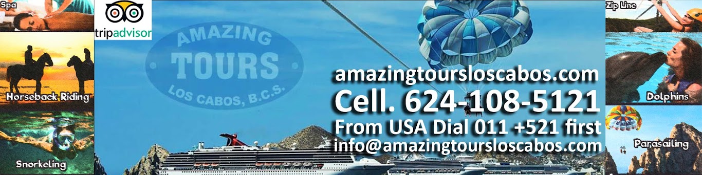Header promocional Amazing